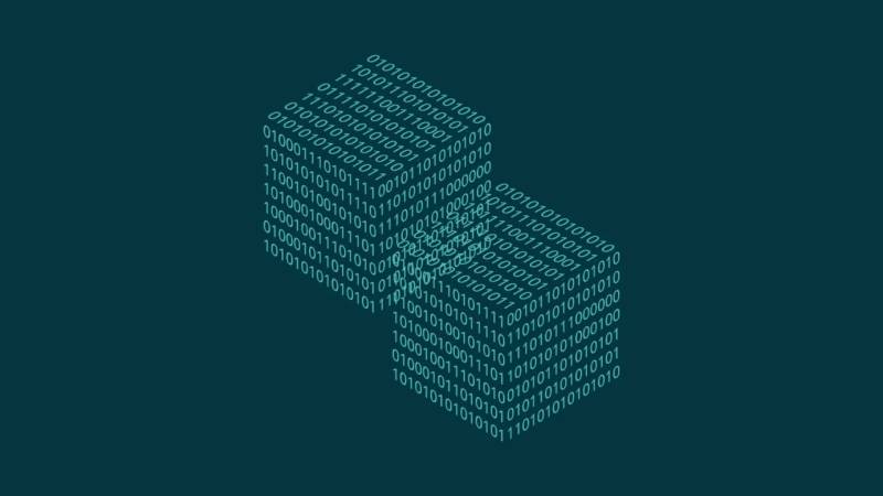 平南县信创改造：网络应用开发流程标准化的核心路径与实践